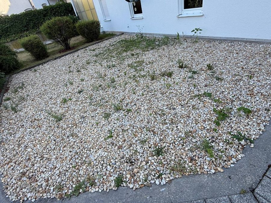Außenanlage vor der Grünpflege