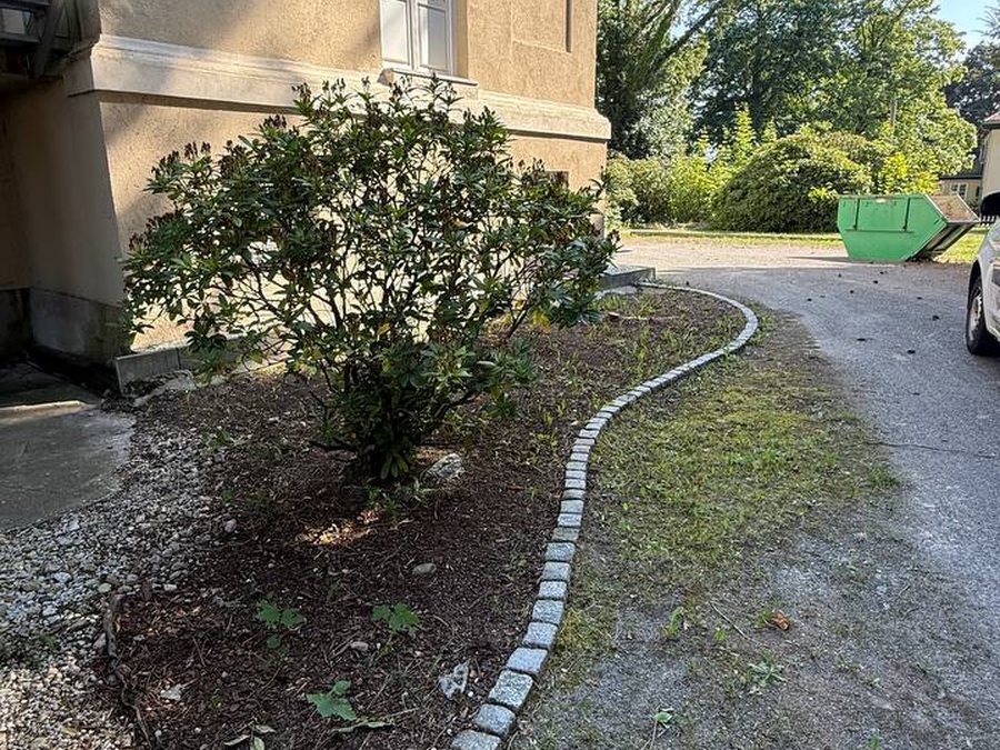 Außenanlage vor der Pflege